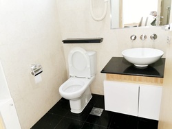 Cairnhill Crest (D9), Condominium #236827051